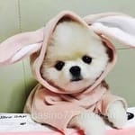 Avatar de Vanessa Cortés